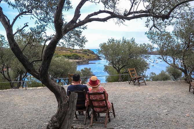 Dali Museum, House & Cadaques Small Group Tour from Barcelona - The guide and the drive, why the story matters more than you expect