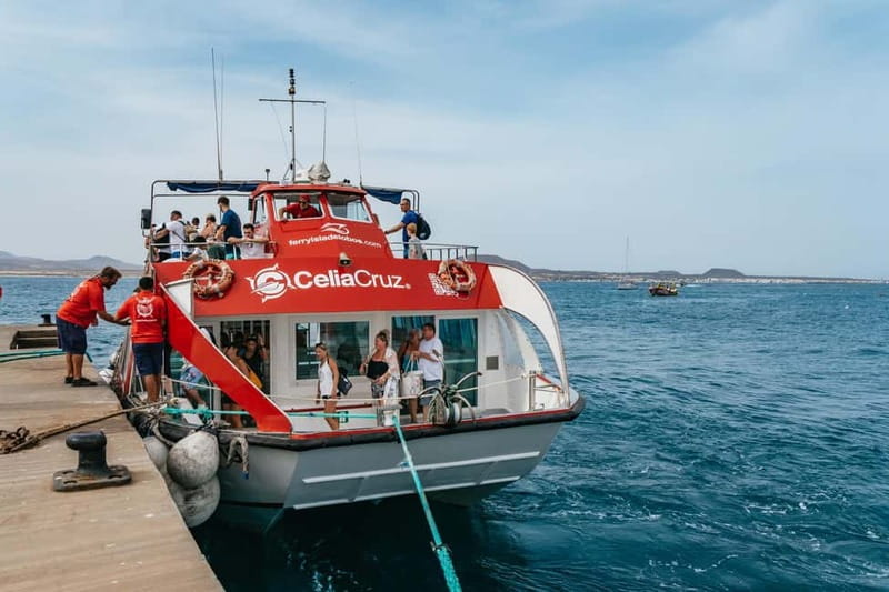 Desde Corralejo: Lobos Island Ferry with Optional Transfer - Snorkeling and Underwater Watching: Glad-Bottom Boat Notes