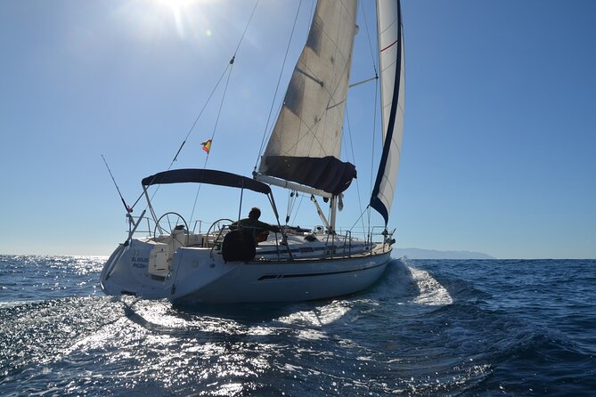 Dolphin and Whale Sailing Tour in Los Gigantes - Key Points You’ll Care About