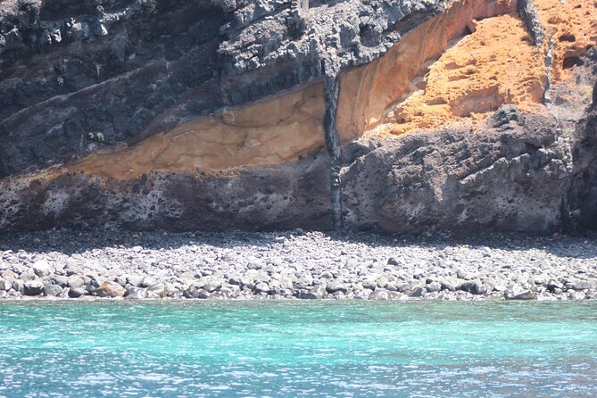 Dolphin and Whale Sailing Tour in Los Gigantes - The 3-Hour Route and What Each Moment Really Gives You