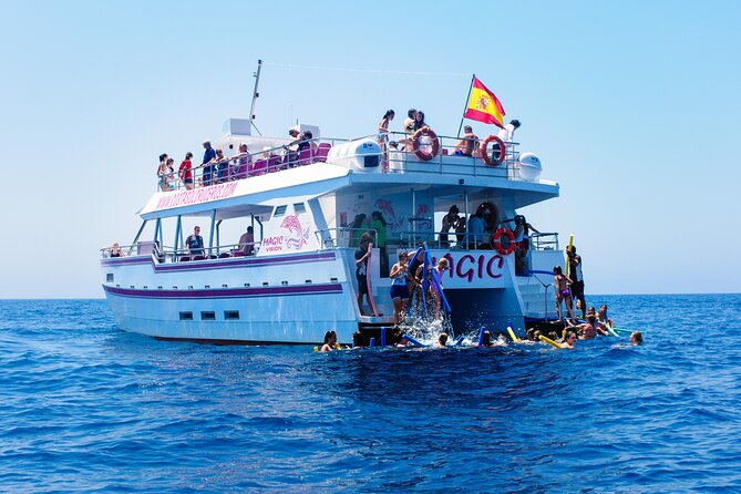 Dolphin Sightseeing Boat Tour from Benalmadena - The dolphin search: how the crew helps you maximize your chances