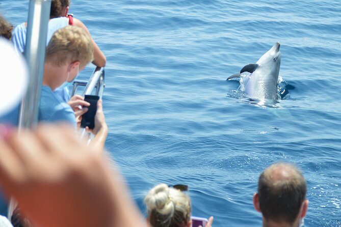 Dolphin Sightseeing Boat Tour from Benalmadena - Benalmádena landmarks from the water: El-Bil-Bil, the Stupa, and sea-view history