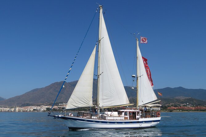 Dolphin Watching Adventure in Estepona Bay - A Small-Boat Dolphin Hunt in Estepona Bay (1h45, Daytime Departures)
