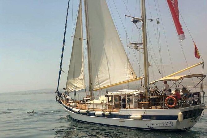 Dolphin Watching Adventure in Estepona Bay - Getting There and Meeting: Puerto de Estepona Pantalán Check-In