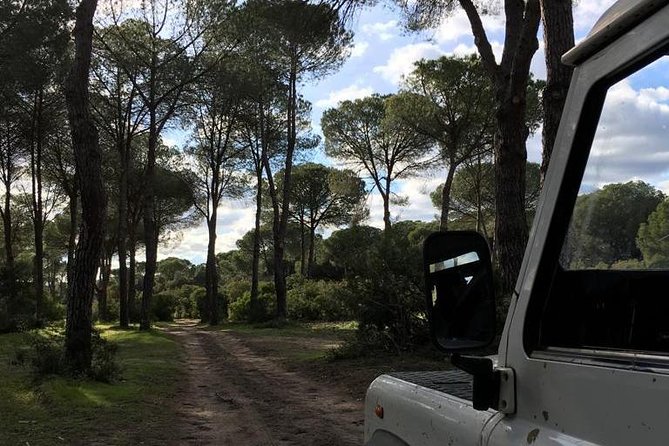 Donana National Park and El Rocío: Guided Tour from Seville - El Rocío Village: Chapel Time and the Ornithologists’ Observatory