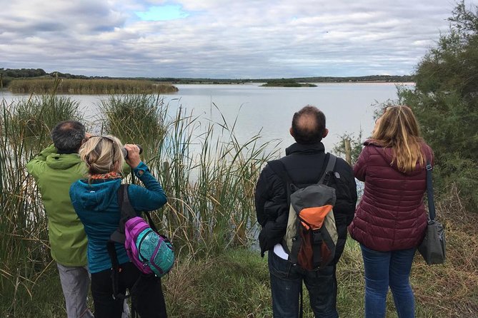 Donana National Park and El Rocío: Guided Tour from Seville - Palacio del Acebrón and the La Rocina Area Walk