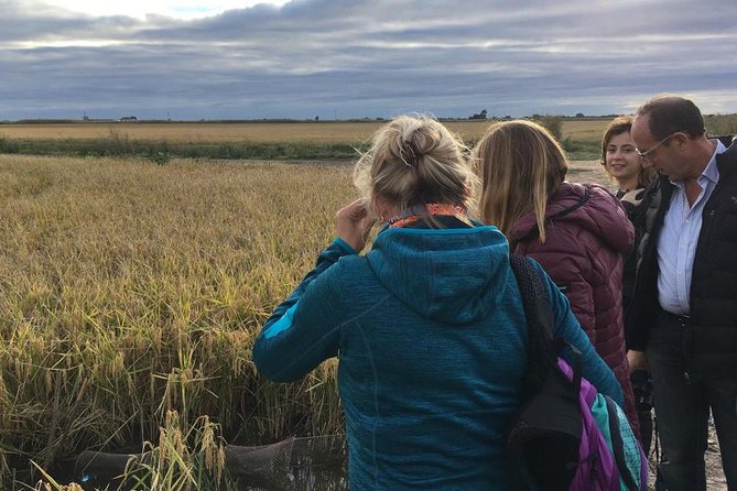 Donana National Park and El Rocío: Guided Tour from Seville - Playa de Matalascanas and Doñana’s Dune Ecosystem