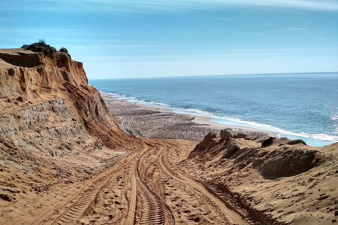 Donana National Park and El Rocío: Guided Tour from Seville - Asperillo Pine Forest at Sunset and the Drive Back