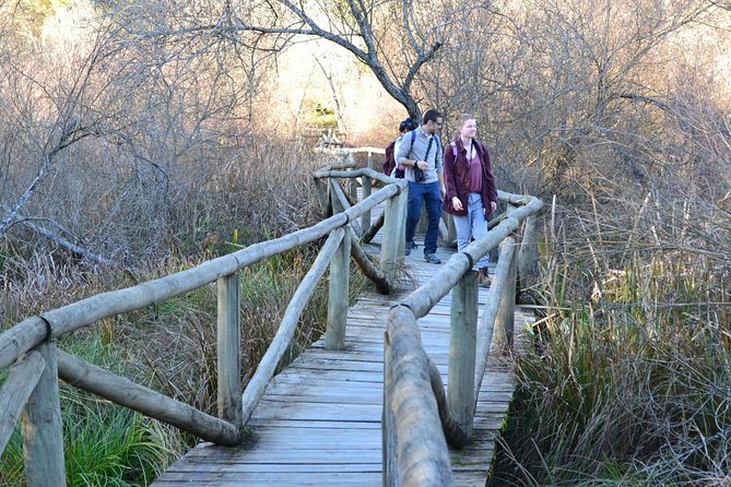 Donana National Park: Guided Day Tour from Seville - El Rocío: why this stop matters, even if you came for wildlife