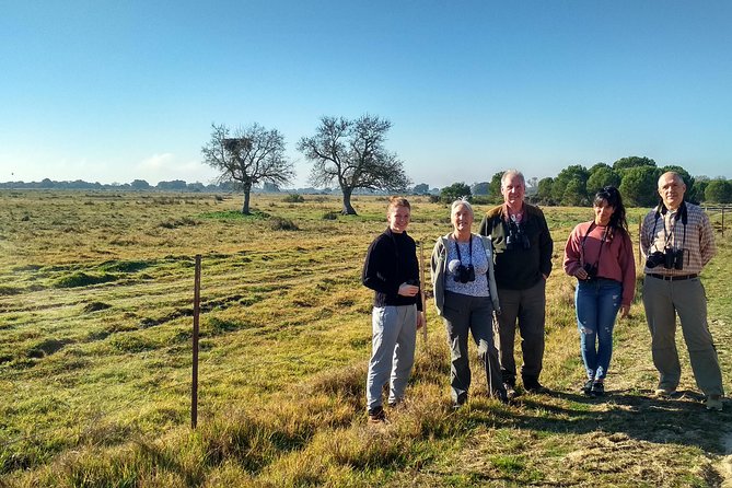 Donana National Park: Guided Day Tour from Seville - Guides make or break the day: look for the bird-ID energy