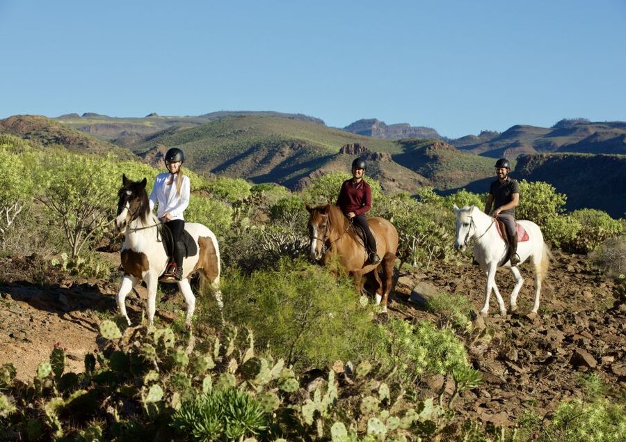 El Salobre: Horse Riding Adventure with Transfer Options - Picking your ride length: 1 hour, 2 hours, or sunset