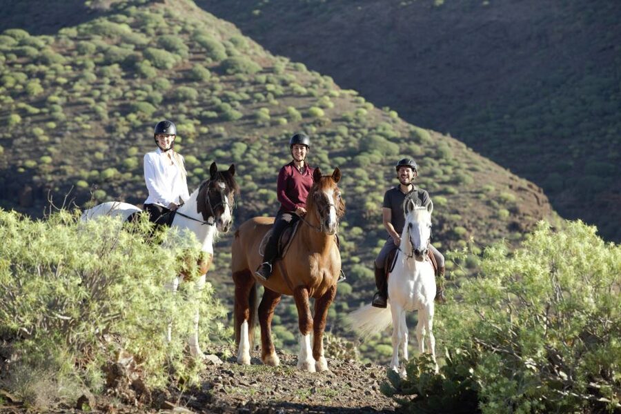 El Salobre: Horse Riding Adventure with Transfer Options - The volcanic trails: what the terrain feels like