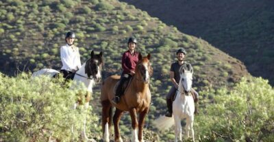 El Salobre: Horse Riding Adventure with Transfer Options