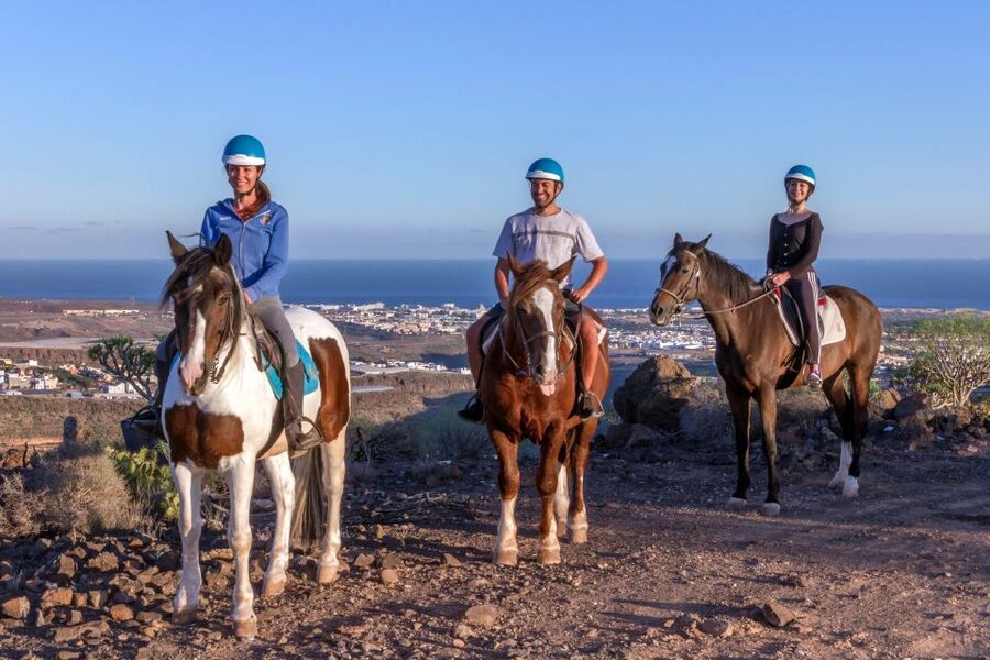 El Salobre: Horse Riding Adventure with Transfer Options - Horses, tack, and that clean-ranch feeling