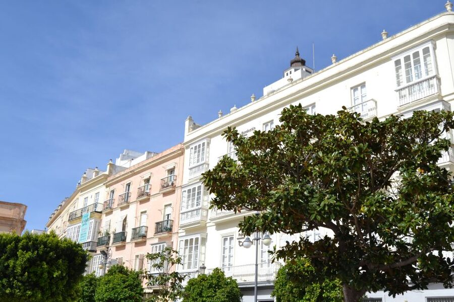 English Cádiz Tour: Walking Tour with Local Guide - The 1812 Constitution theme, plus Phoenician hints and street-level details