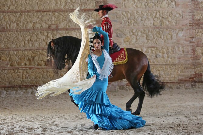 Equestrian Show Royal Stables of Córdoba - Where to sit in a premium vs general setup