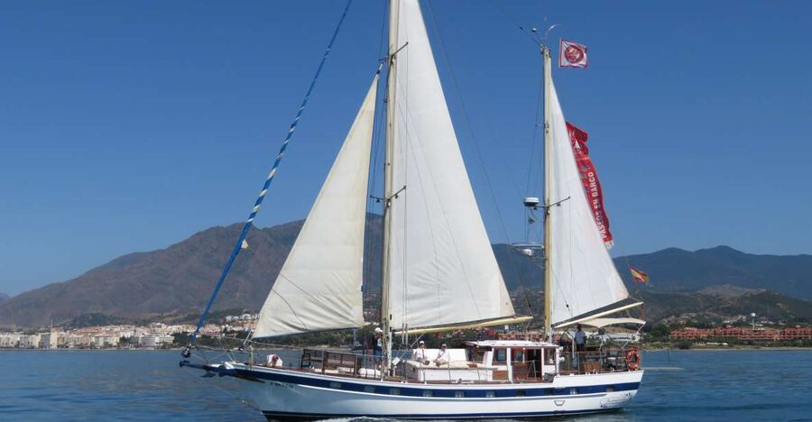 Estepona: Dolphin Watching Sailboat Cruise with Drink - Why This Estepona Dolphin Sailboat Cruise Feels Different From a Typical Trip