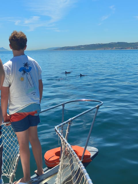 Estepona: Dolphins Searching Sea Cruise with Drink & Snacks - Snacks, One Drink, and Bluetooth Tunes That Set the Mood