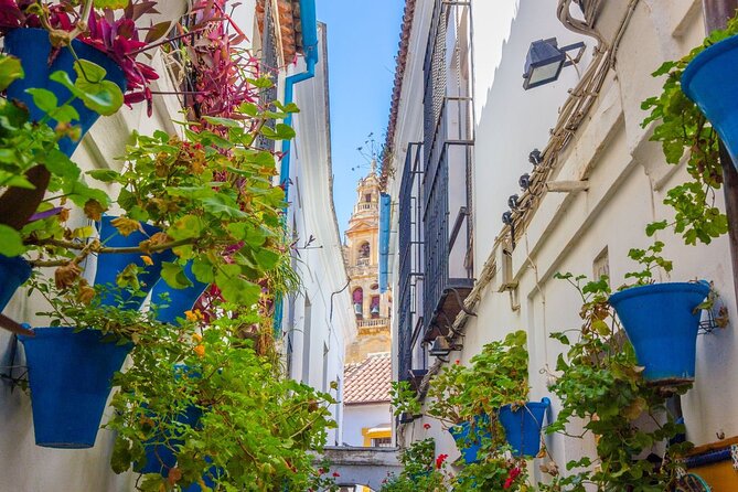 Excursion to Córdoba from Malaga - Key things to know before you go
