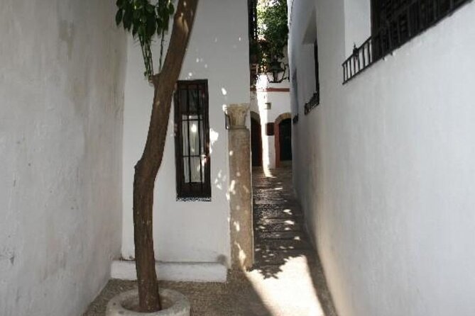 Excursion to Córdoba from Malaga - Potential Pitfalls: Heat, Break Length, and Self-Guided Time