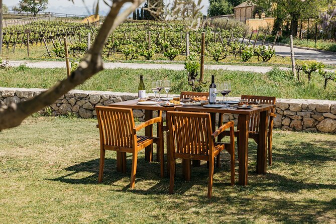 Familia Torres Winery: Gastronomic Tapas & Wine Experience - Time to Shop at the Winery, Without Rushing the Day
