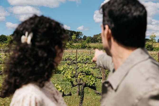 Familia Torres Winery: Gastronomic Tapas & Wine Experience - Group Size, Pace, and Who This Tour Fits Best