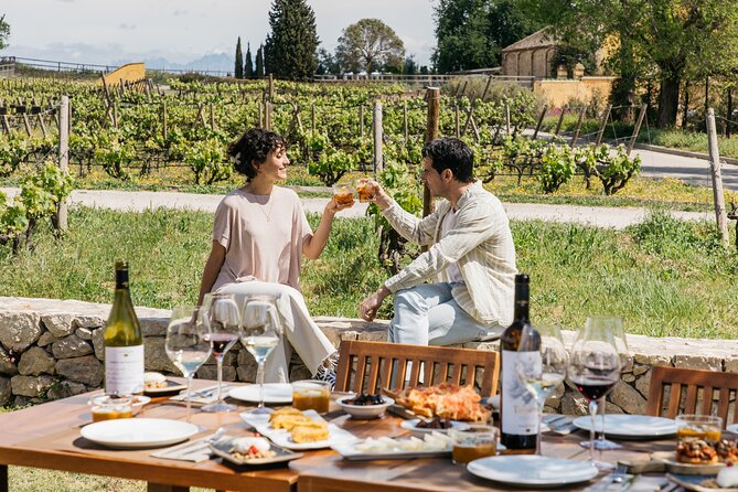 Familia Torres Winery: Gastronomic Tapas & Wine Experience - A Few Booking Tips So Your Day Stays Smooth