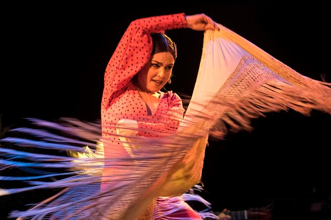 Flamenco Show Ticket at Theatre Barcelona City Hall - Who this flamenco show is best for