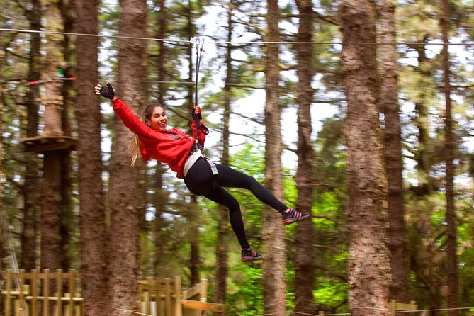 Forestal Park Tenerife Entrance Ticket - Key highlights at Forestal Park Tenerife