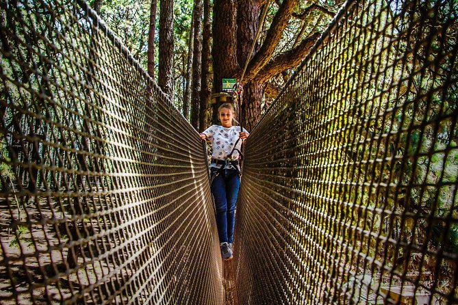 Forestal Park Tenerife Entrance Ticket - Ziplines through the trees: speed that still feels controlled