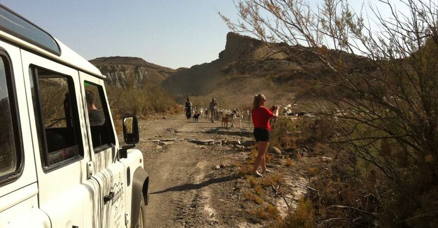 From Almeria: Tabernas Desert 4WD Joyriding Tour - Key things that make this tour worth your time