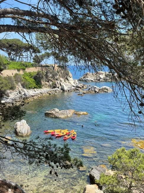 From Barcelona: Costa Brava Kayak & Snorkel Tour with Picnic - Snorkeling in clear water: what you might see and how to avoid hassles