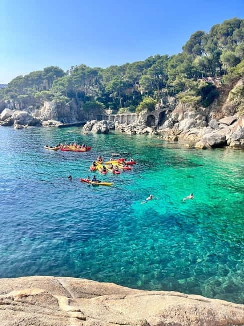 From Barcelona: Costa Brava Kayak & Snorkel Tour with Picnic - The plant and animal lesson that turns photos into meaning