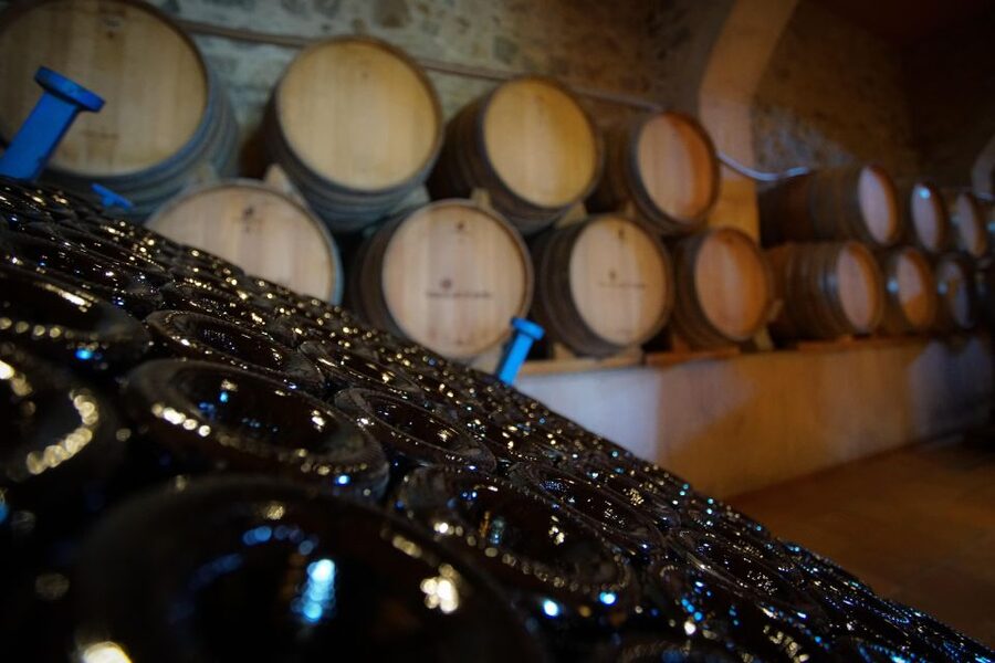 From Barcelona: E-Bike and Sailing Tour with Wine Tastings - Included food, wine, and drinks, and how to pace it