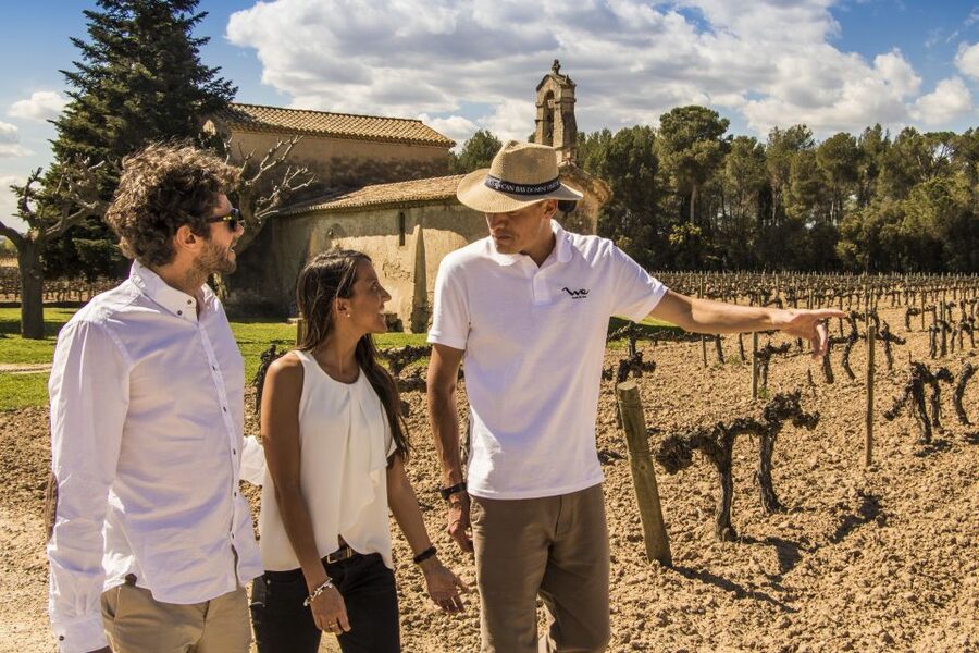 From Barcelona: Penedés Vineyards Tour by 4WD w/Wine & Cava - The 4x4 Vineyard Ride: Up Close Through Vine Rows and Historic Church Stops