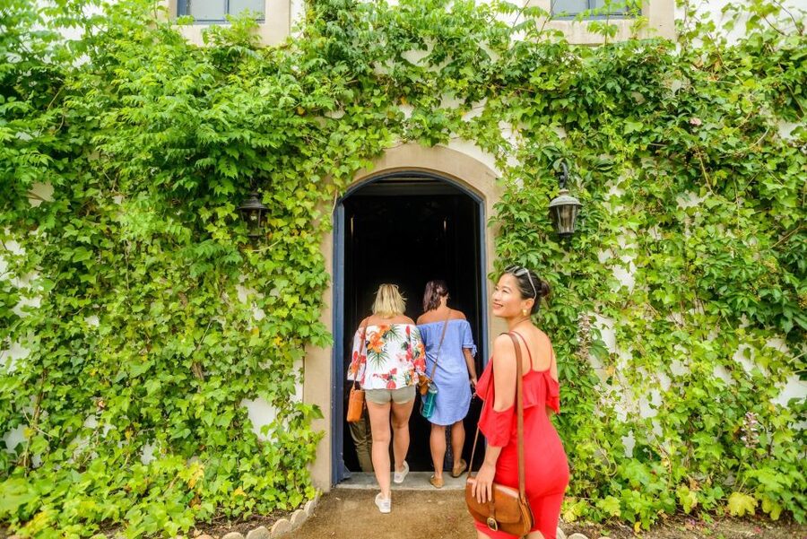 From Barcelona: Penedés Vineyards Tour by 4WD w/Wine & Cava - Price and Value at $85 Per Person: What You Get for the Money