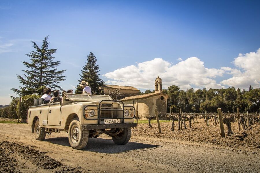 From Barcelona: Penedés Vineyards Tour by 4WD w/Wine & Cava - Who This Tour Suits Best (And Who Might Want Another Option)