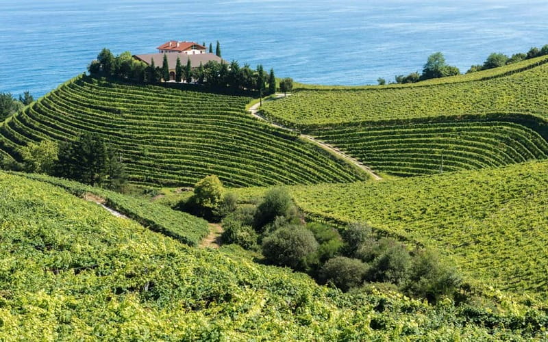 From Bilbao: Excursion to San Sebastián, Hondarribia, Hendaye, and Getaria - Should You Book This Tour? A Simple Decision Checklist