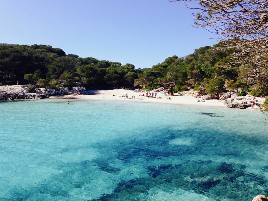 From Cala Galdana: 2-Hour Glass-Bottom Boat Trip - Key highlights to know before you go
