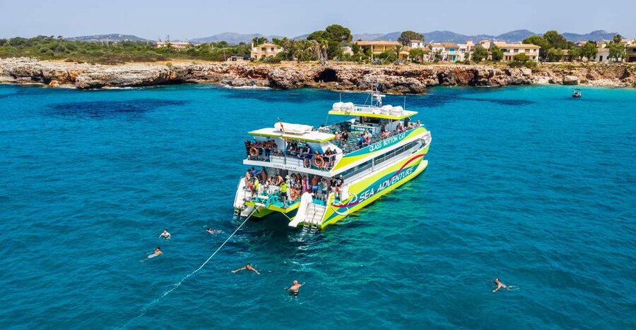 From Cala Millor: East Coast Glass-Bottom Boat Trip - Glass-bottom reality: what you see under the water