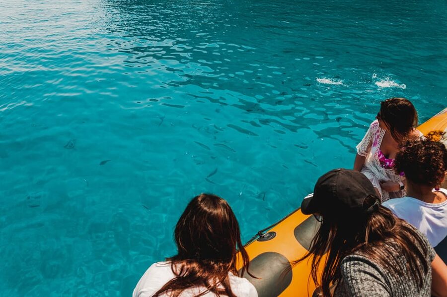 From Can Picafort: Dolphin Watching and Cave Boat Trip - Key highlights worth the hype