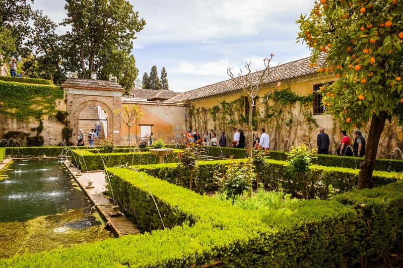 From Costa del Sol: Granada Full-Day Tour - Granada on Your Own: Albaicín Views and the Alhambra at Your Pace