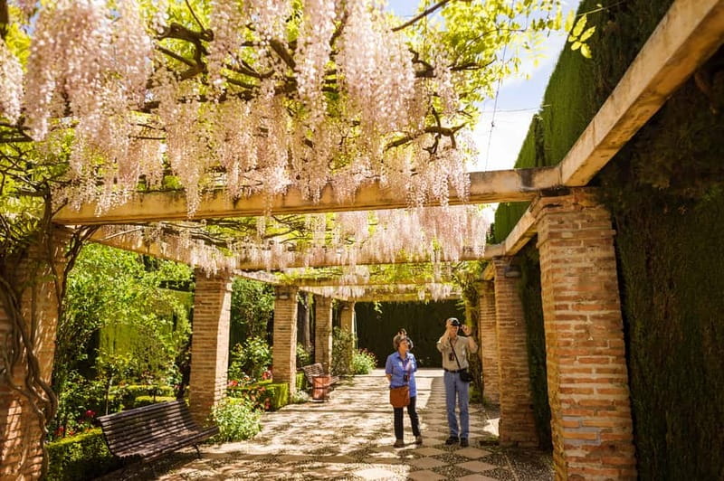 From Costa del Sol: Granada Full-Day Tour - Morning Transit: Air-Conditioned Bus, Multiple Pickups, and Real Timing