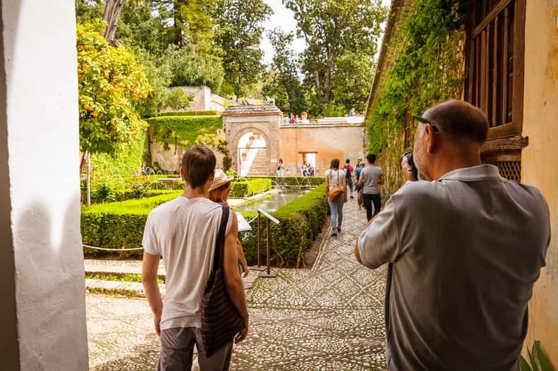 From Costa del Sol: Granada Full-Day Tour - Inside the Alhambra: Mexuar, Comares, Lions, and Corridor-Lindaraja