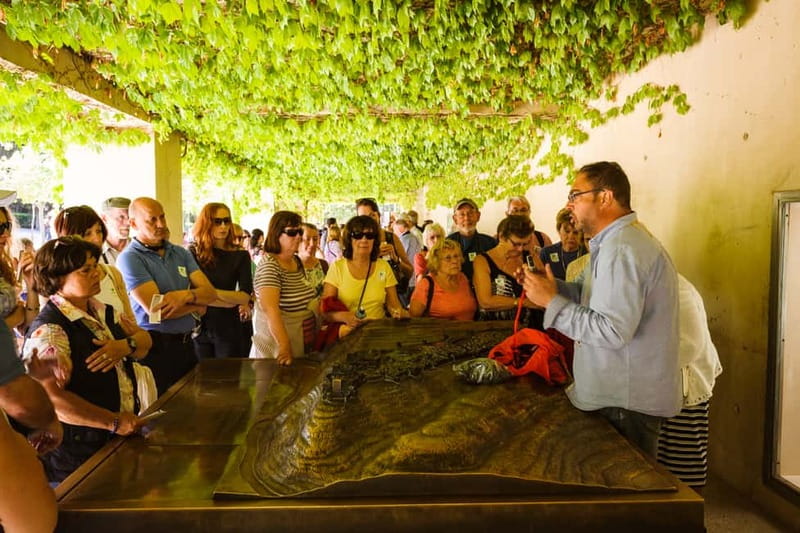 From Costa del Sol: Granada Full-Day Tour - Three Ways to Do Granada, Pick Your Comfort Level