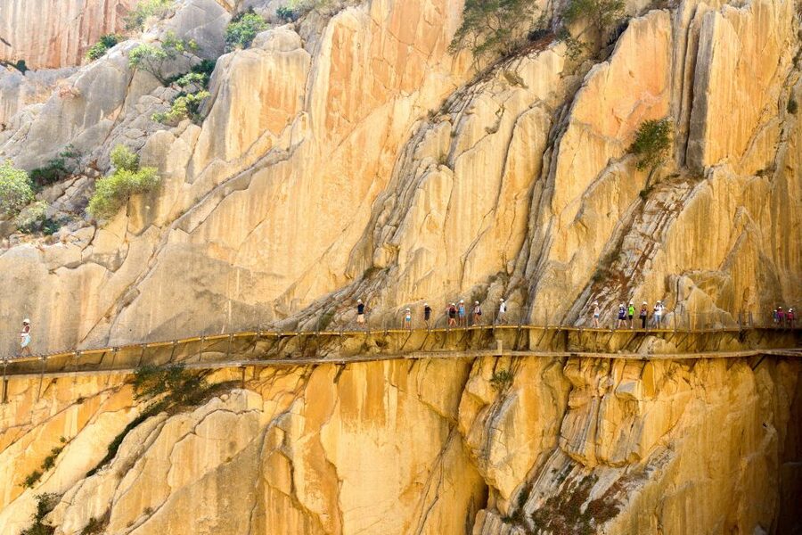 From Costa del Sol & Malaga: Caminito del Rey Guided Tour - Pace, Photos, and Why You Should Plan for Waiting