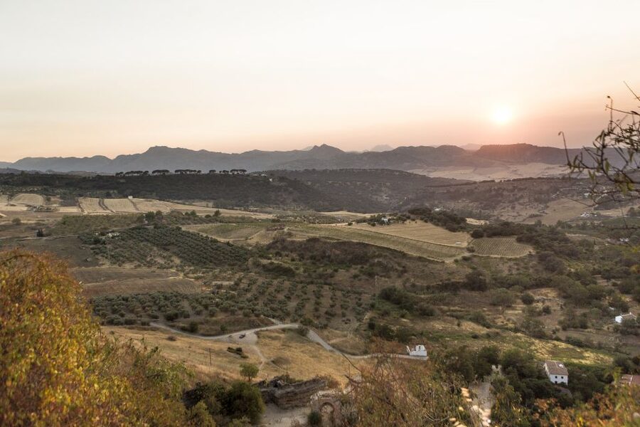 From Costa del Sol: Ronda Village Tour w/ Maestranza Ticket - Key Points You Actually Care About