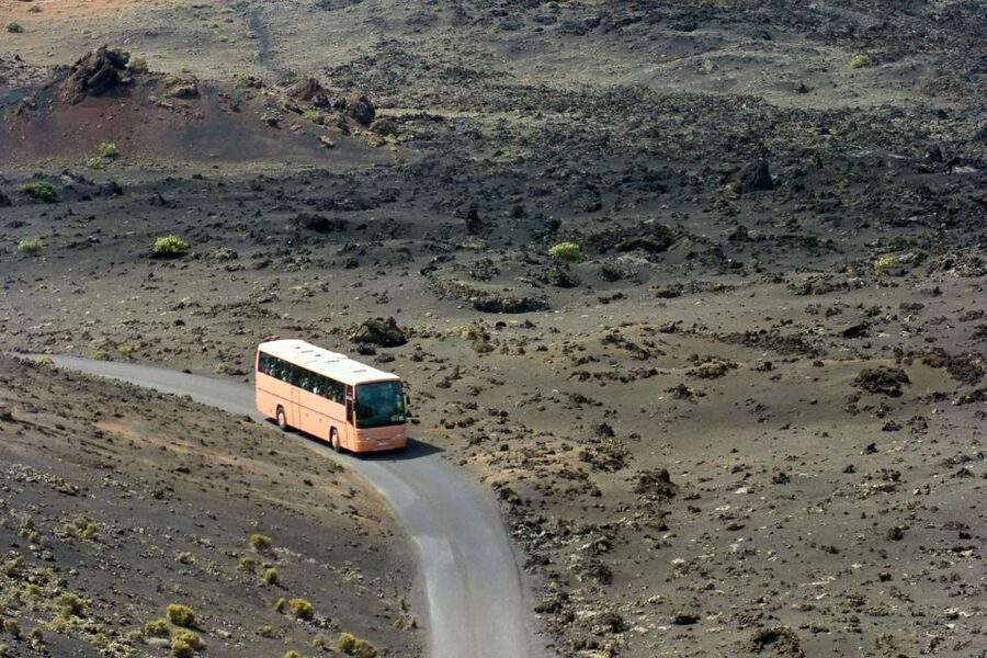 From Fuerteventura: Lanzarote Volcano and Wine Region Tour - Should you book the Fuerteventura to Lanzarote volcano and wine tour?