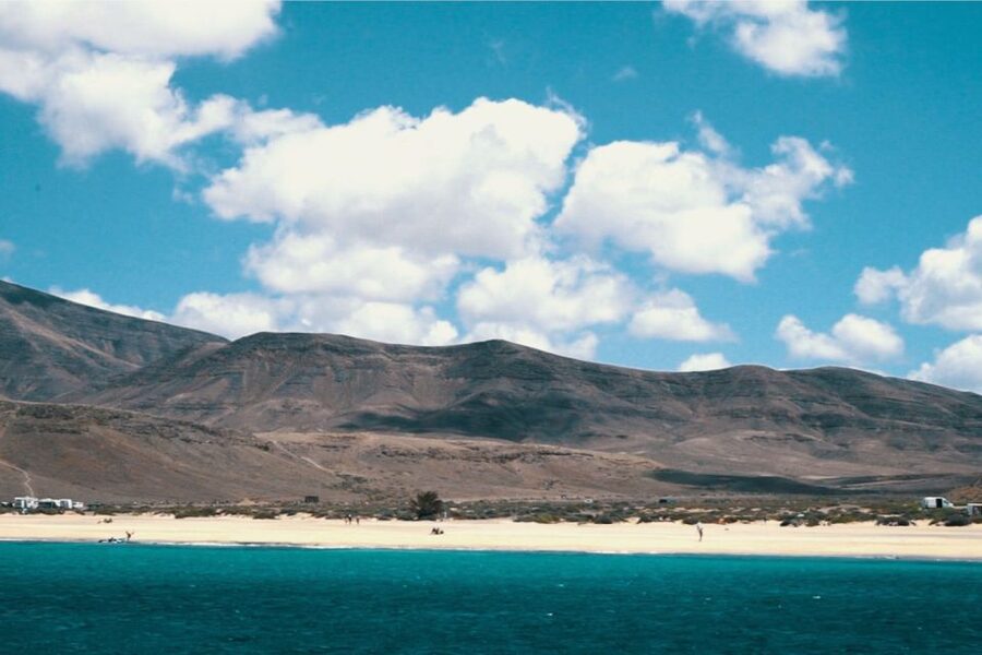 From Fuerteventura: Lanzarote Volcano and Wine Region Tour - La Geria vineyards, circular plots and the wine tasting reality