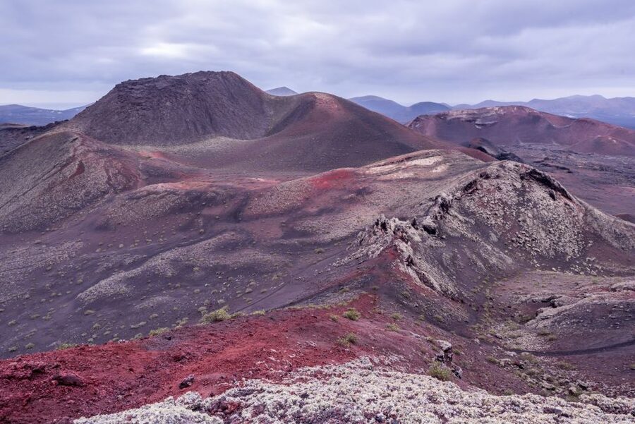 From Fuerteventura: Lanzarote Volcano and Wine Region Tour - Price and value at about $98 for Timanfaya plus La Geria